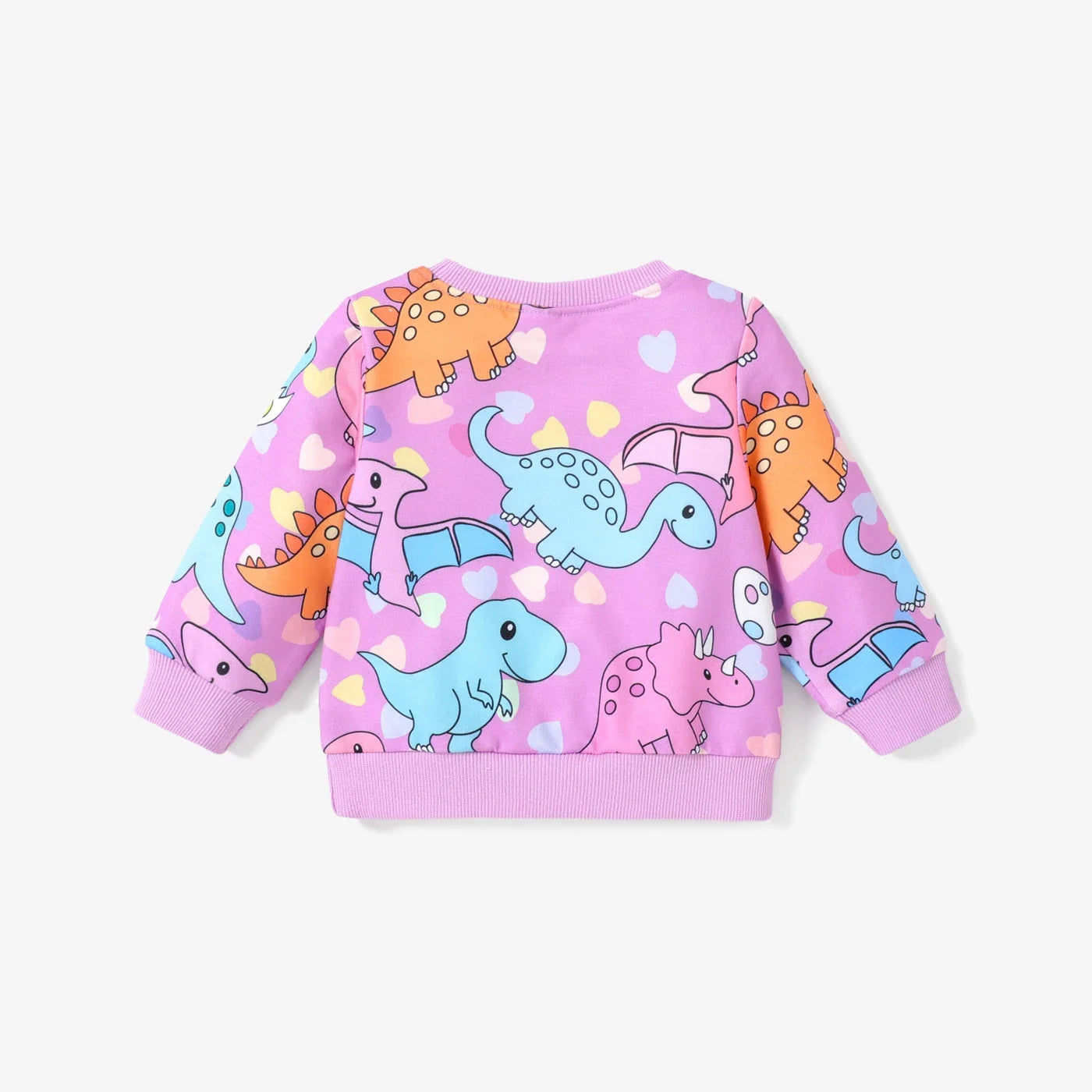 Winter Dinosaur Sweatshirt