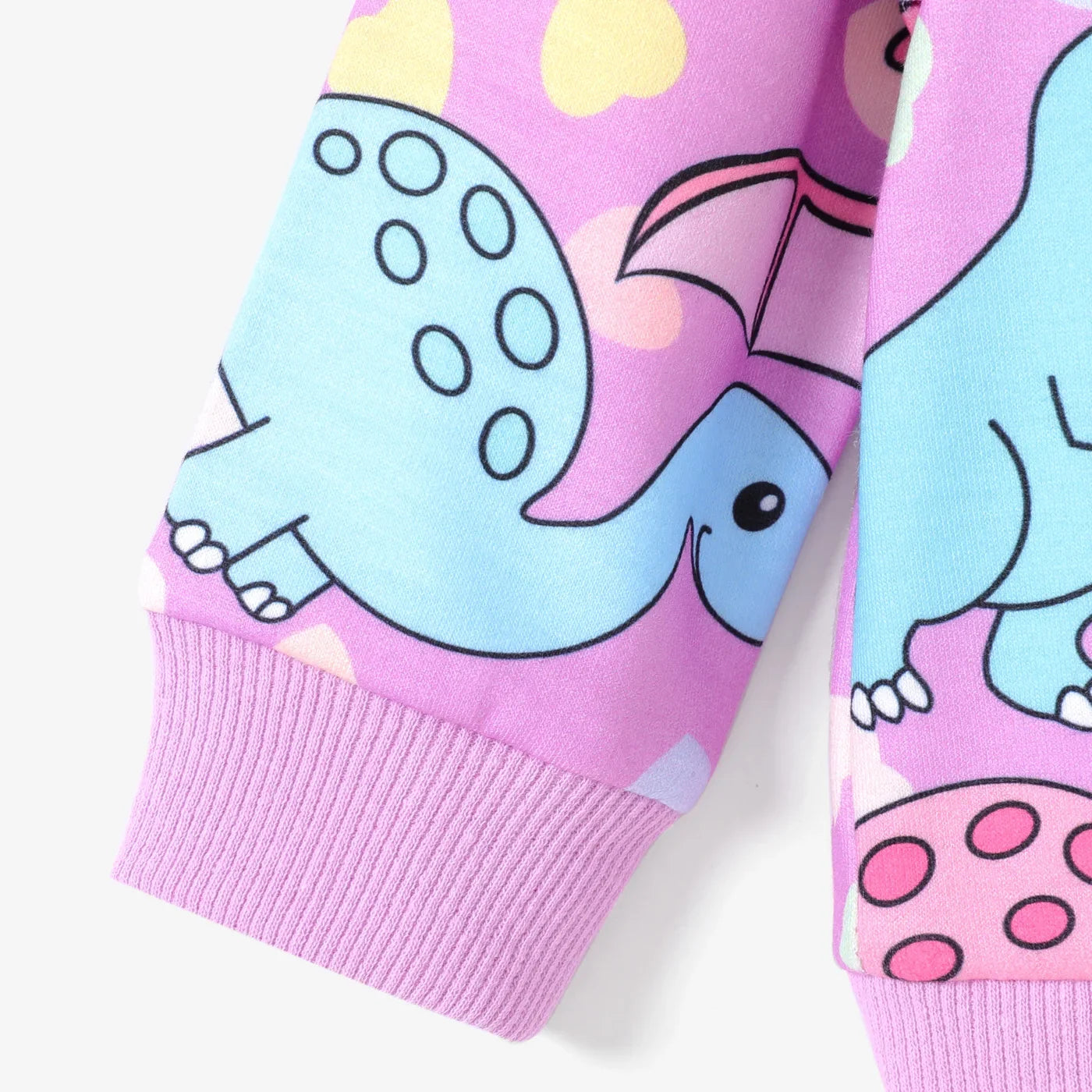 Winter Dinosaur Sweatshirt