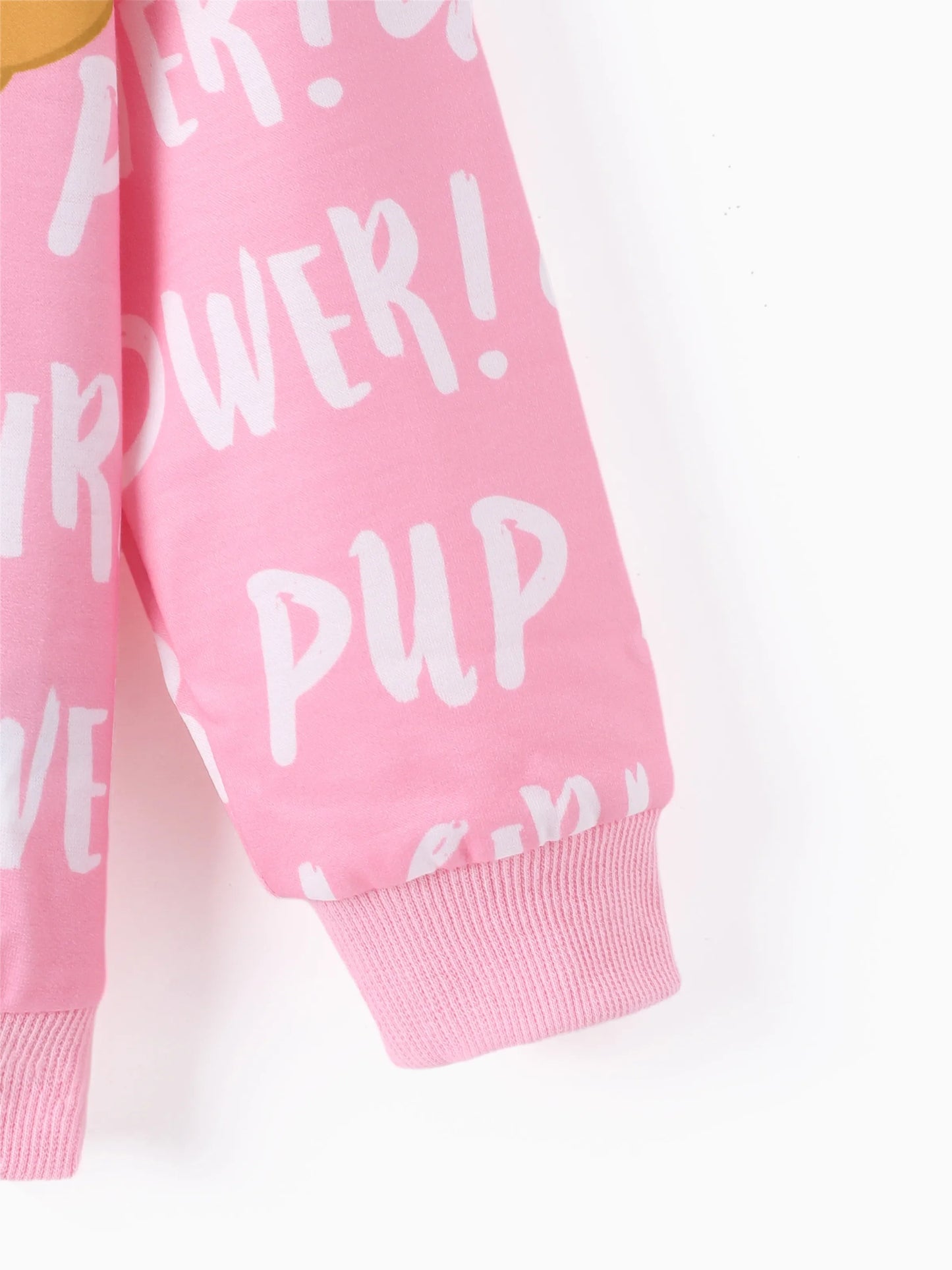 PAW Patrol Toddler Girl Big Skye Long-sleeve Hoodie Pink