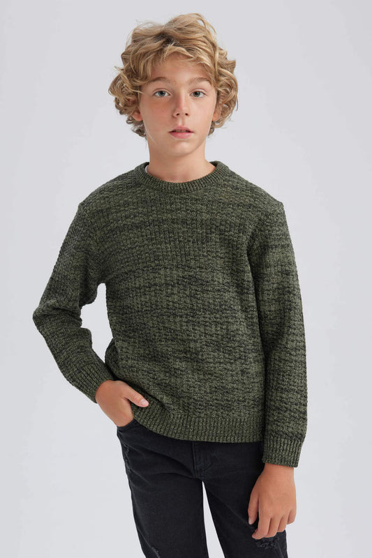 Regular Fit Crew Neck Pullover