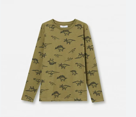 Long sleeve  with dinosaur T-shirt