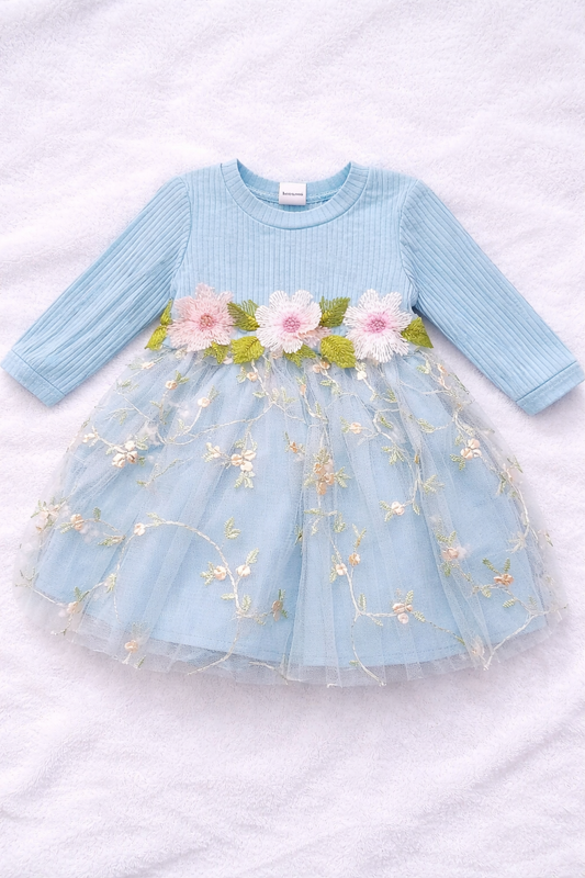 Baby Girl Light Blue Dress - Floral Tulle Skirt Long Sleeve Dress with Embroidery