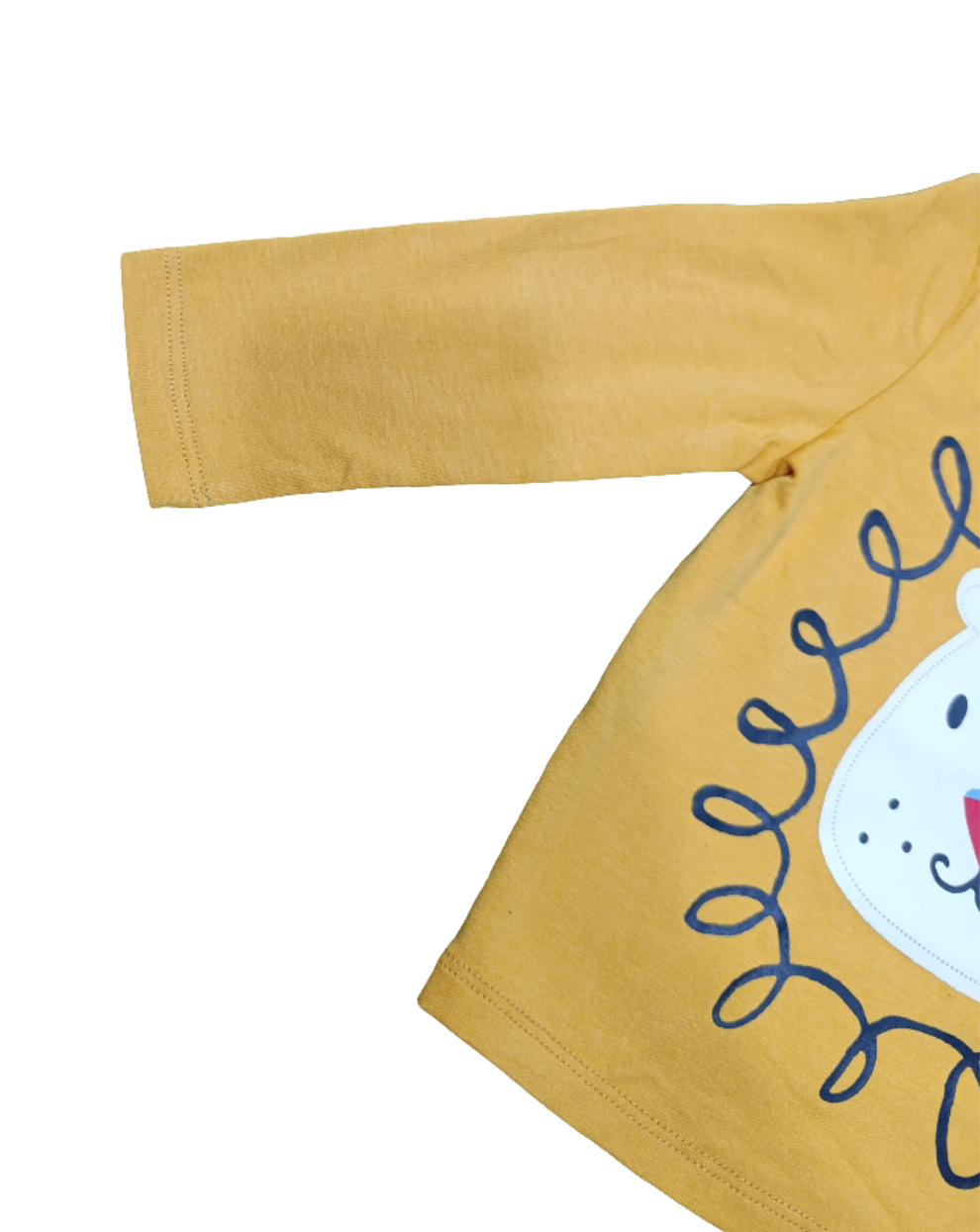 Boys t-shirt lion character