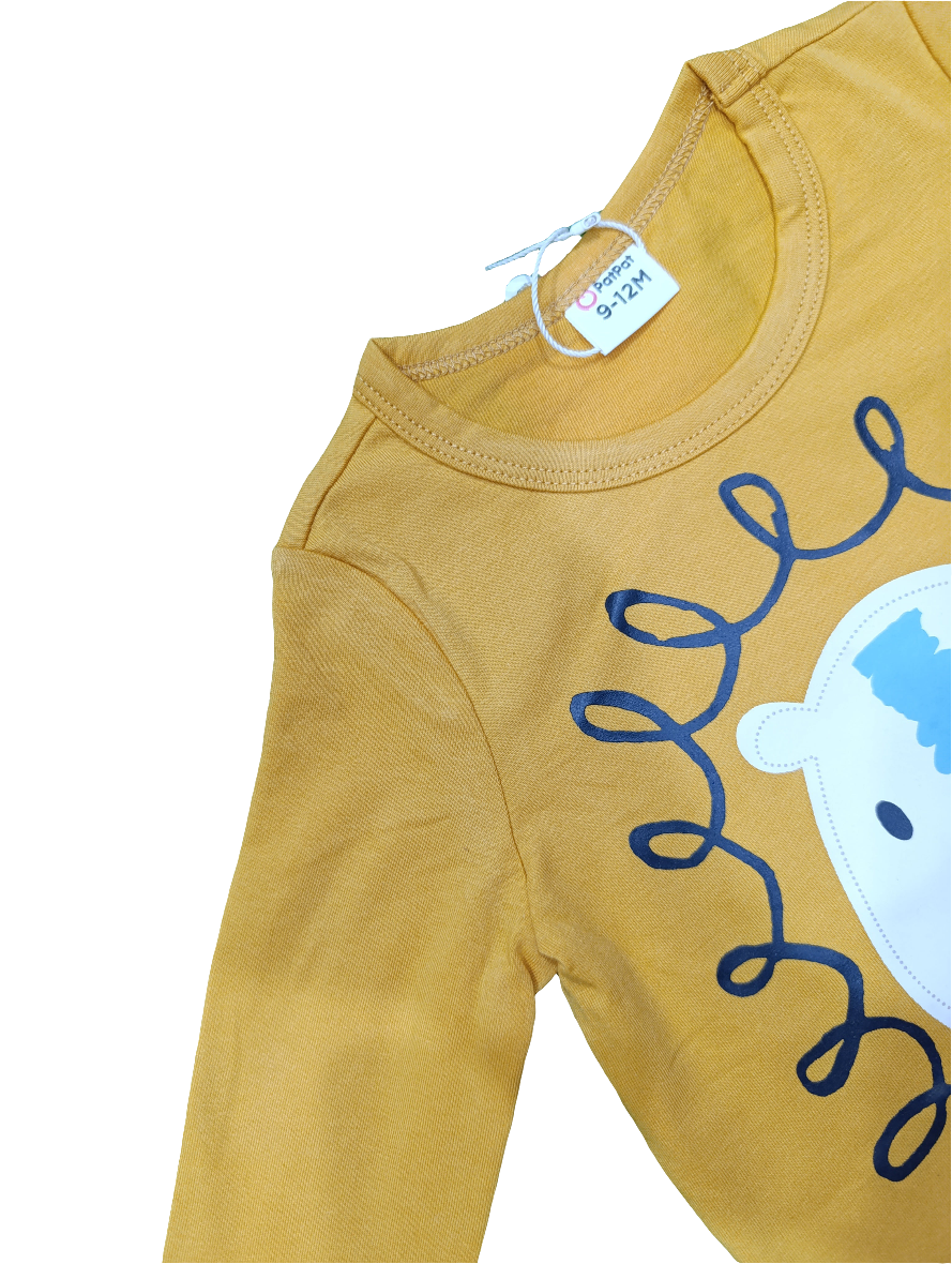 Boys t-shirt lion character